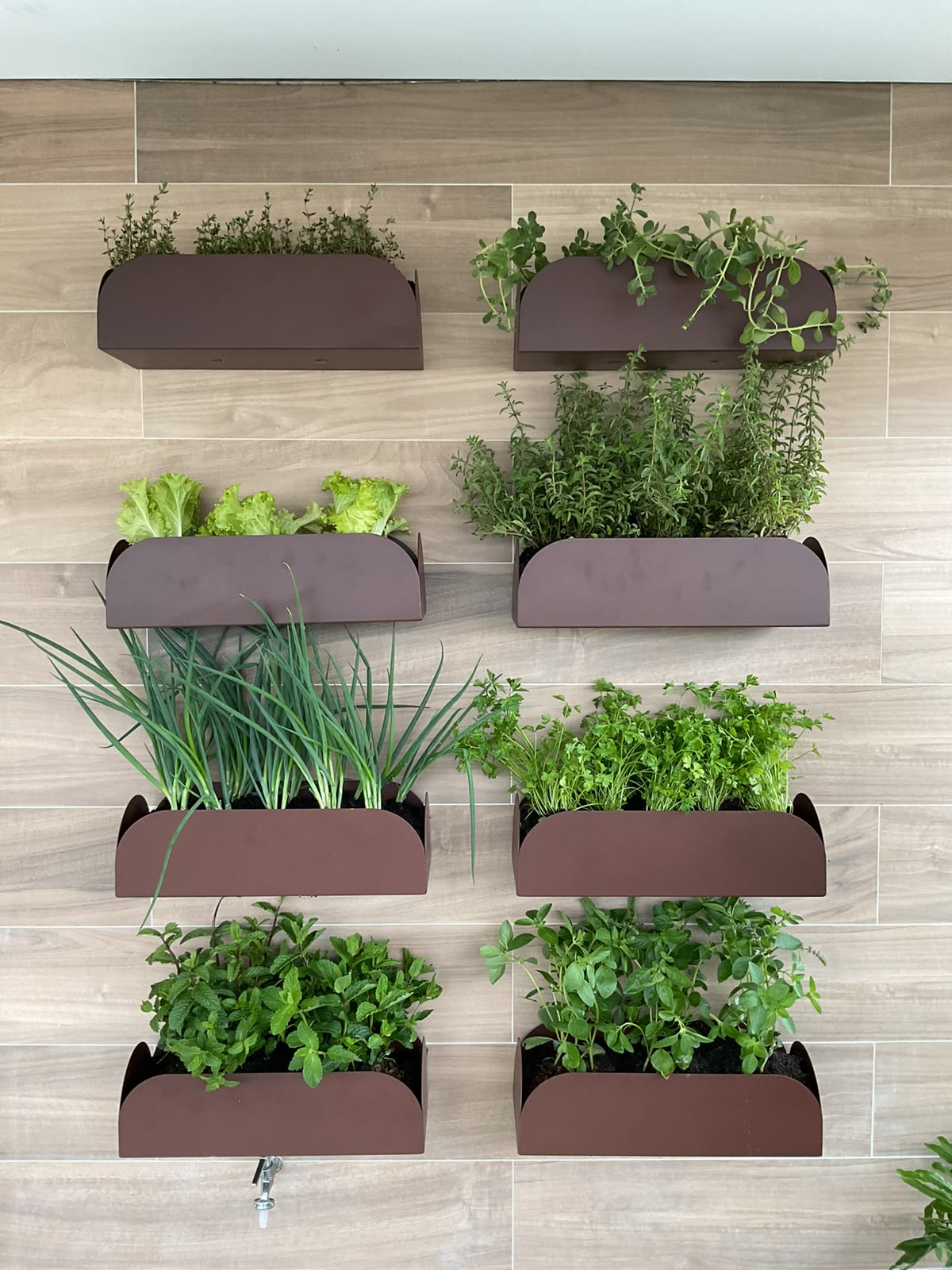 Área externa planejada por Karen Coquejo, do Estúdio Coque